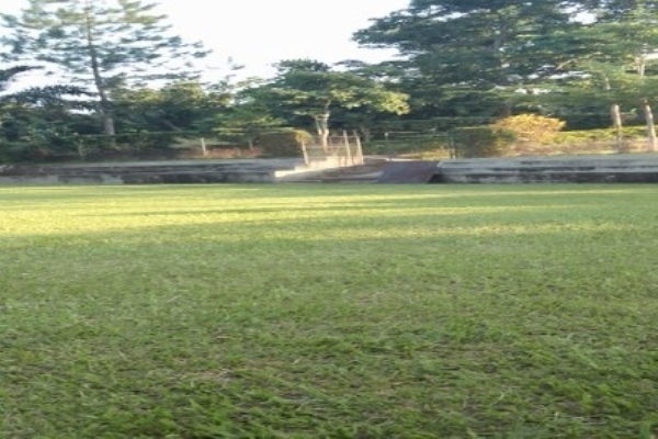 Kampas Green 