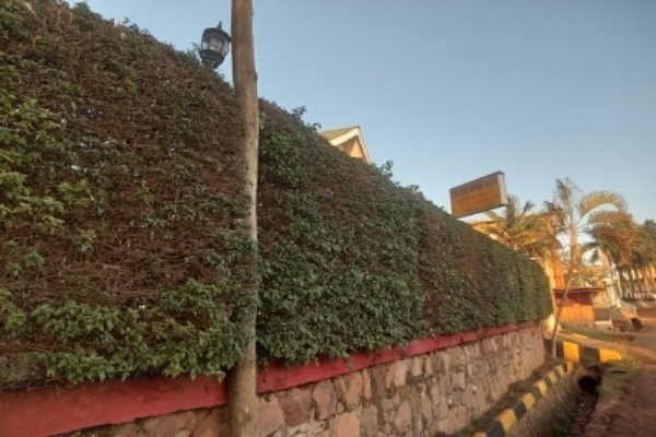 Executive Airpot Hotel Entebbe.